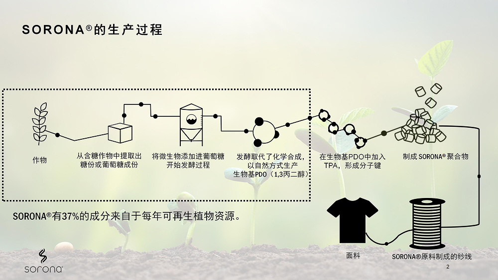 官方網站建設